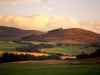Farmland