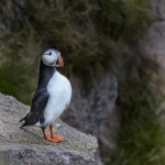 Millshore Pottery - Mill of Nethermill - Self-catering Vacation Rental Holiday - near Pennan, Aberdeenshire, Scotland